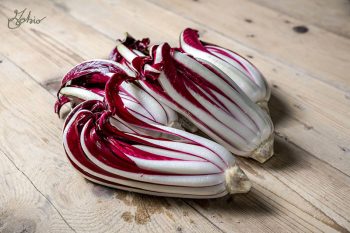 produzione-radicchio-rosso